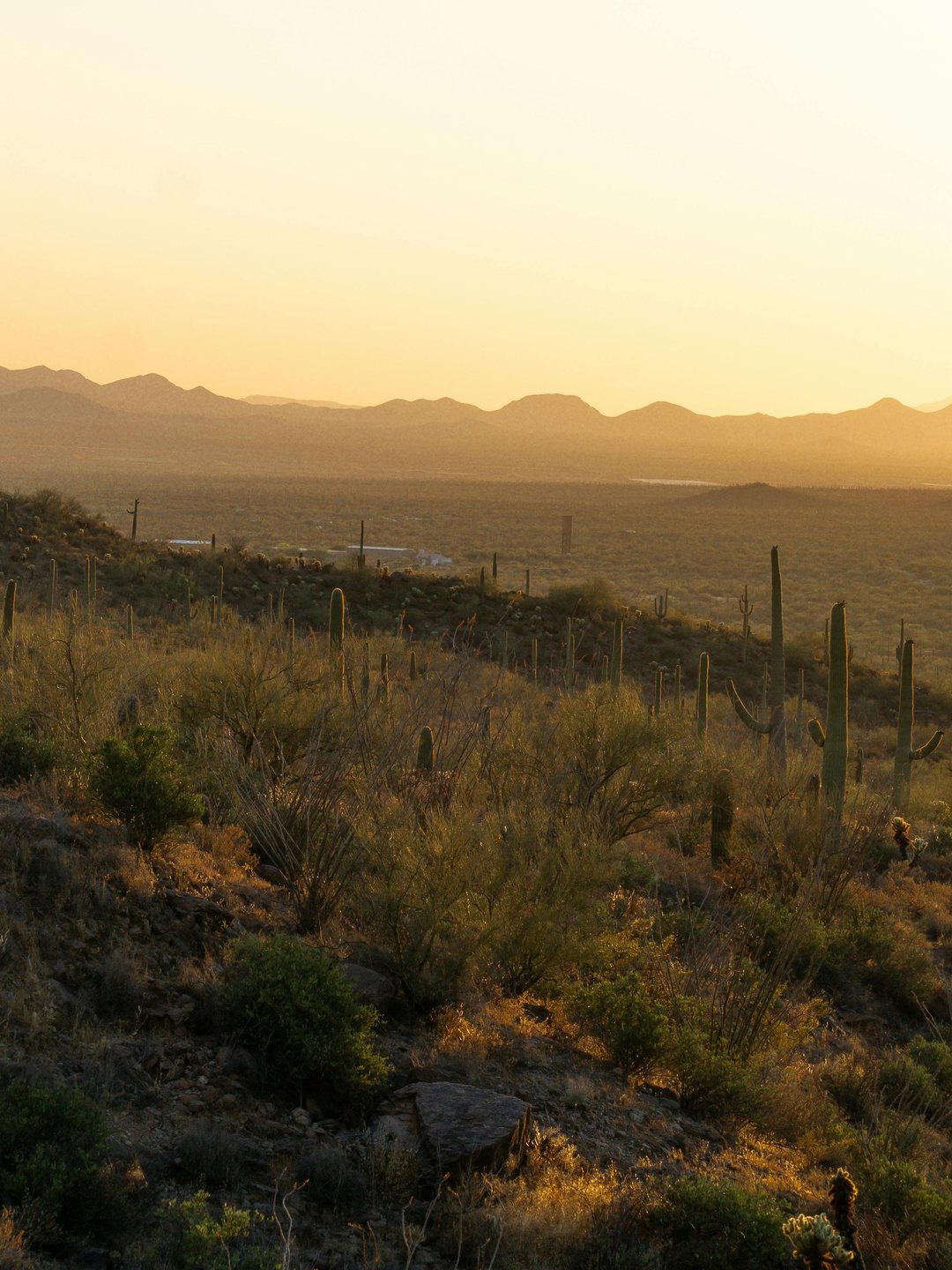 A vast Arizona desert vista at sunrise, mountains and saguaros silhouetted against amber light.
